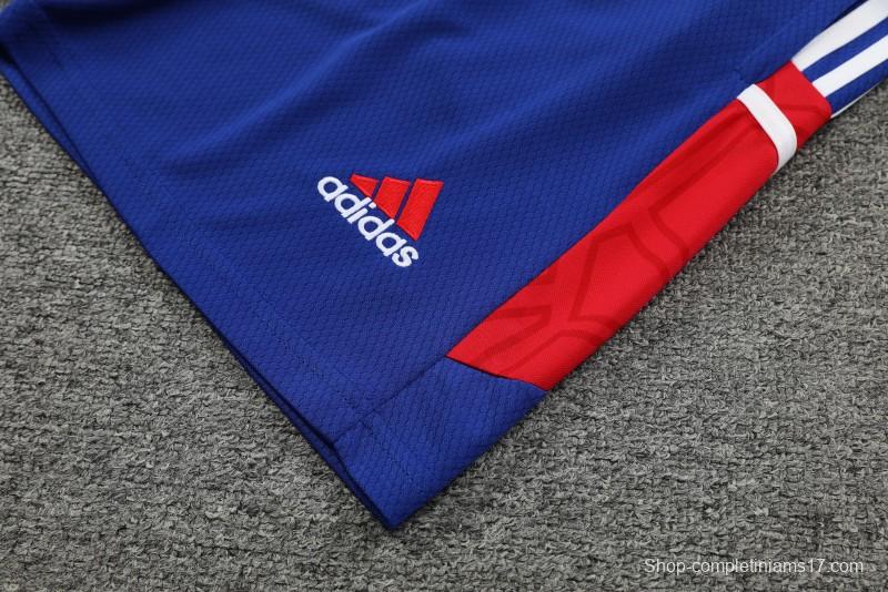 23-24 Bayern Munich Red/Blue Vest Jersey+Shorts