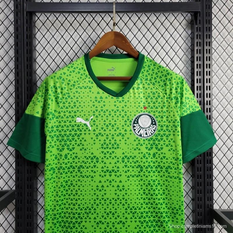 24/25 Palmeiras Green Training Jersey