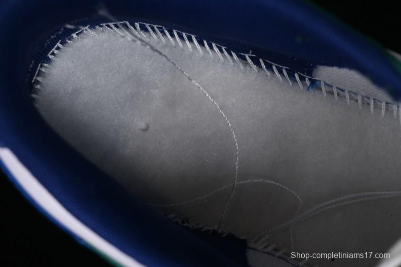 Nike SB Dunk Low SB Skateboarding Shoes - FQ6849-141