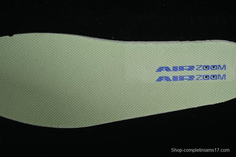 Nike SB Day One Low Top Casual Skate Shoes with Air Zoom Cushion - FN4210-300