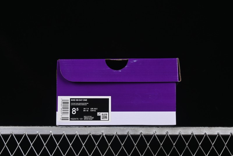Nike SB Day One Low Top Casual Skate Shoes with Air Zoom Cushioning - HQ3475-121