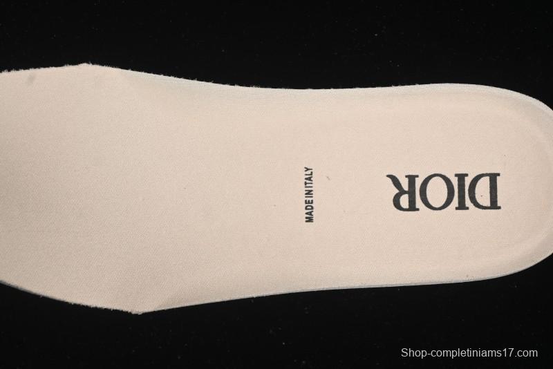 Dior B30 CD Sneakers - AJE5