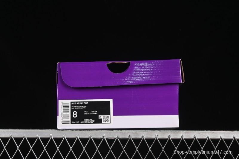 Nike SB Day One Low Casual Skate Shoes - FN4210-401